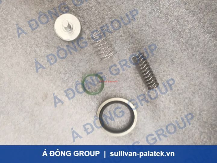 Atlas Minimum Pressure Valve Kit 50-250 psi with HNBR Seals