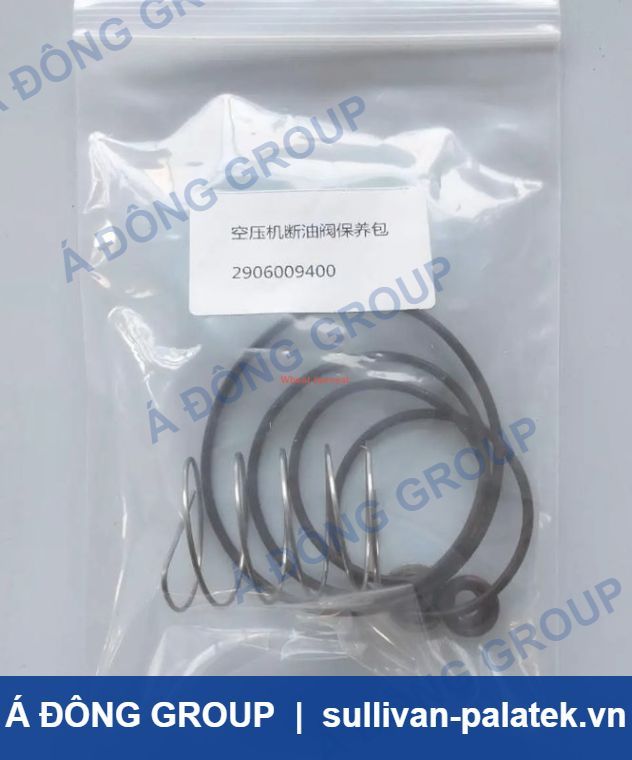 Atlas Quansi-Oil Cut-off Valve Maintenance Kit 2906009400 Hi