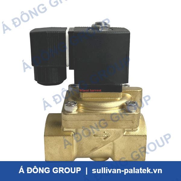 Ingersoll-Rand 22205454 Solenoid Valve for Air Compressor on
