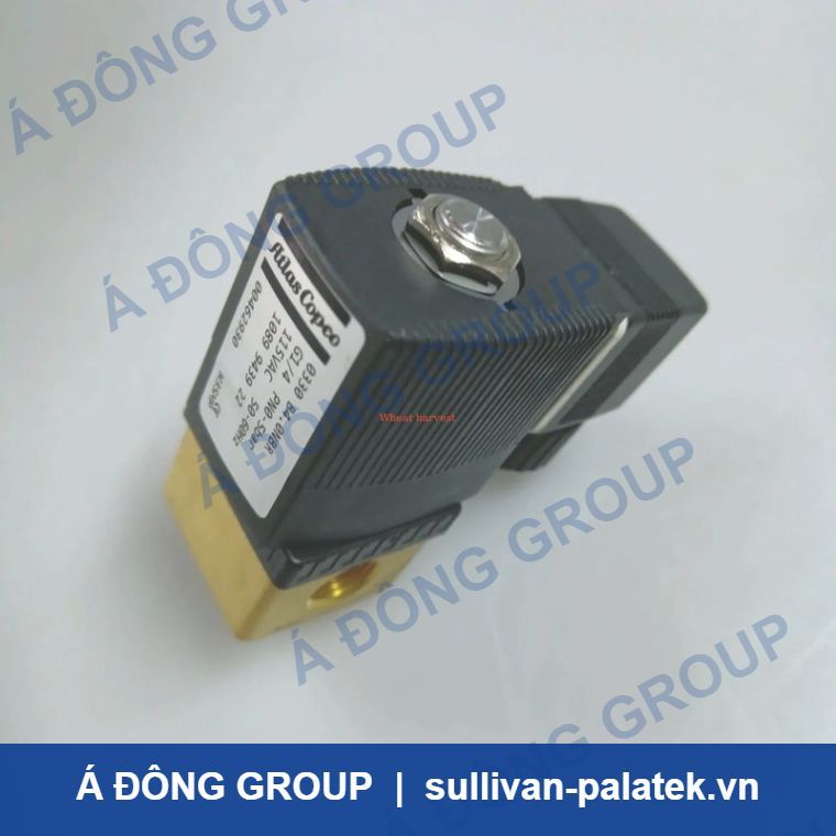 Atlas Solenoid Valve 1089943922 High Quality Screw Air Compr