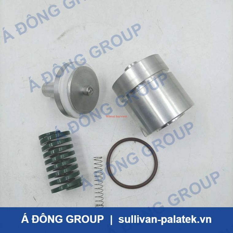 Sullair Minimum Pressure Valve Maintenance Kit 250018-456 fo