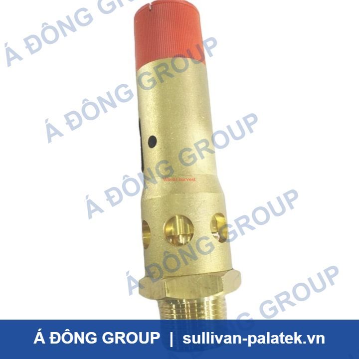 Get the best Safety valve 1092001928 for screw air compresso