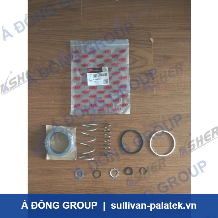 54386586  Ingersoll Rand Blowdown Valve Rebuild Kit