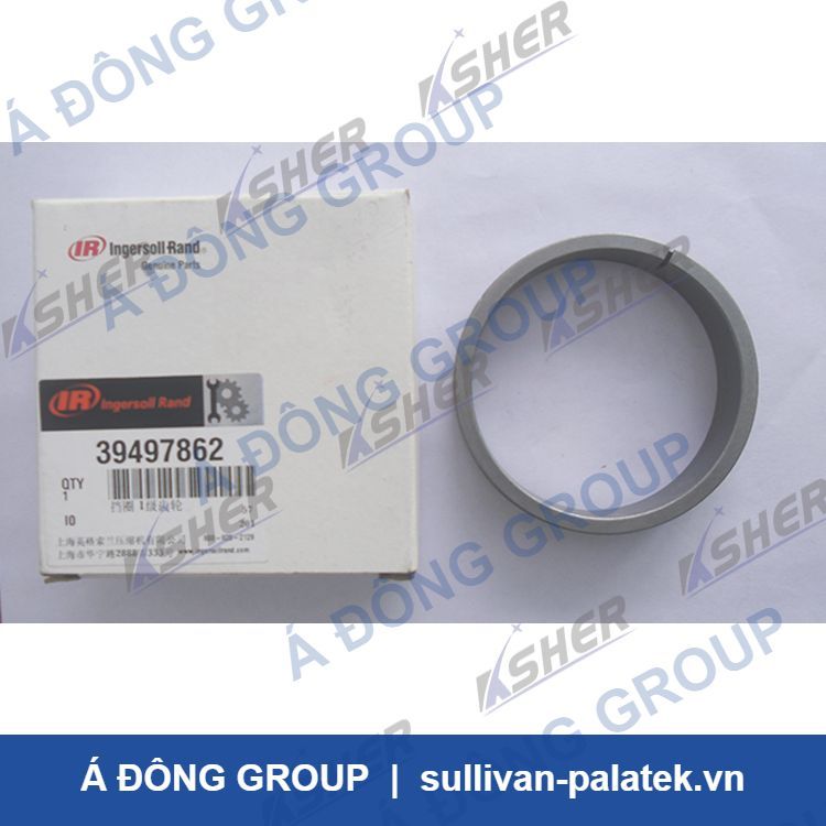 39497862  Ingersoll Rand Retaining Ring