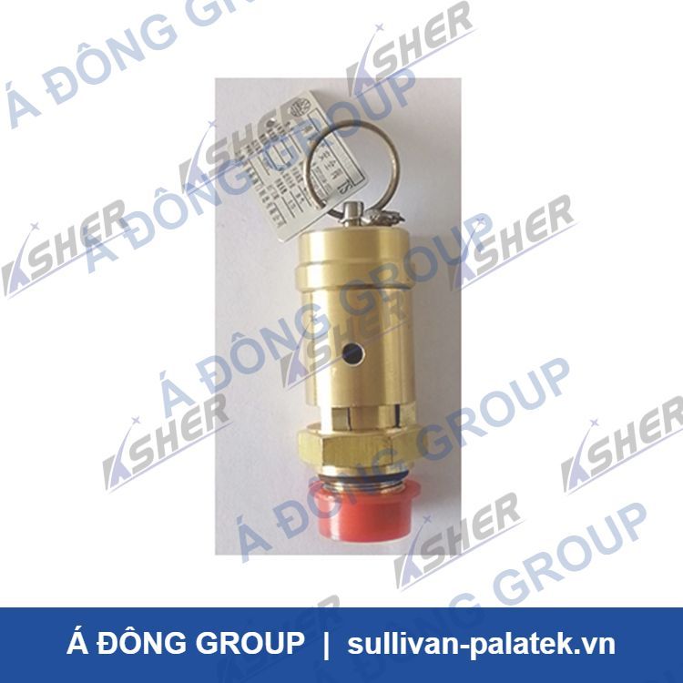 23443948 Ingersoll Rand Safety Valve