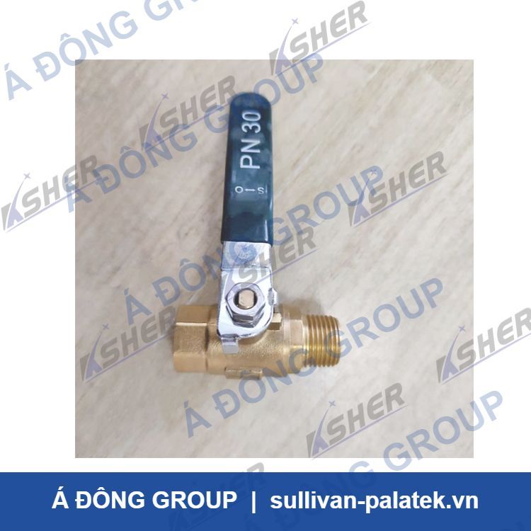 15830052  Ingersoll Rand Vavle