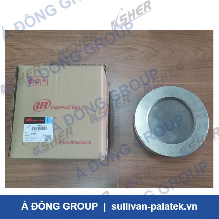 23850738 Ingersoll Rand Check Valve
