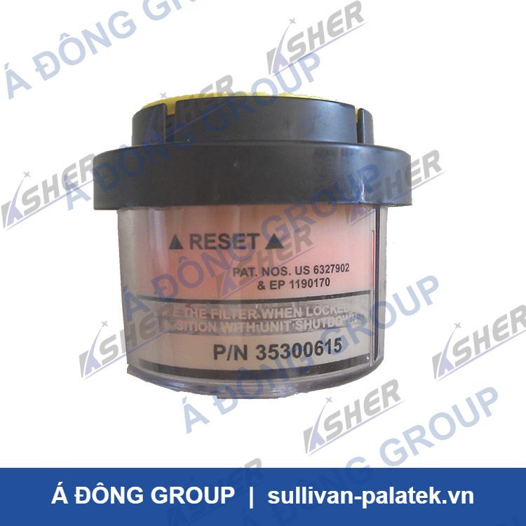 35300615 Ingersoll Rand Damping Display
