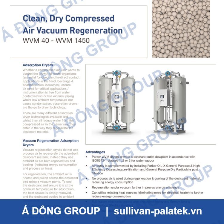 WVM Double Tower Vacuum Adsorption Dryer