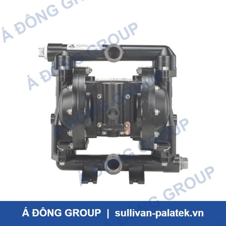PD05P-XXS-XXX-B 1/2’’ Non Metallc Diaphragm Pump ARO