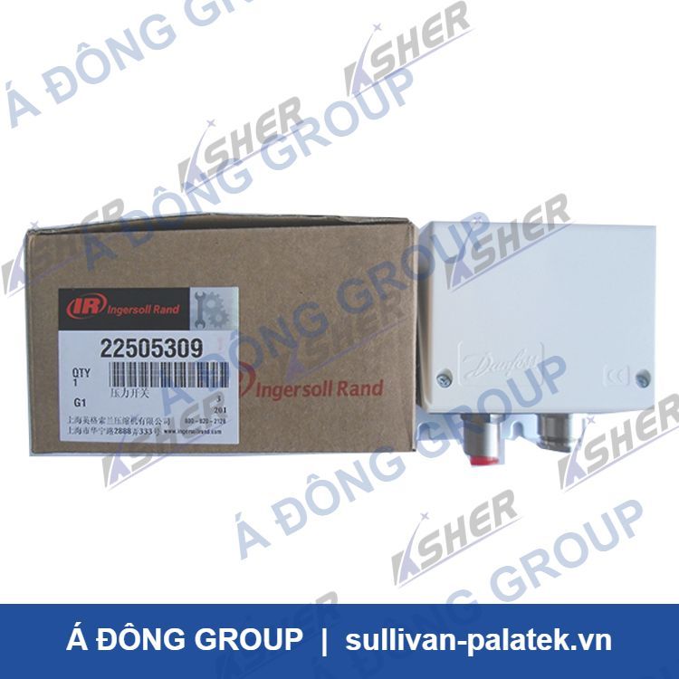 22505309 Pressure Switch