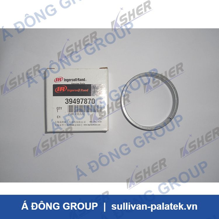 39497870  Ingersoll Rand Retaining Ring