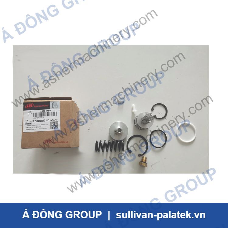 18983700 Ingersoll Rand Intake Valve Service Kit NC Infinity
