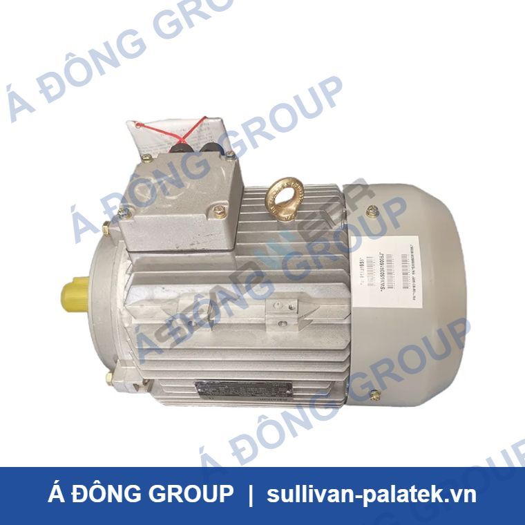 Atlas Copco Motor 1091631955 5.5Kw 50/60Hz 400/690V