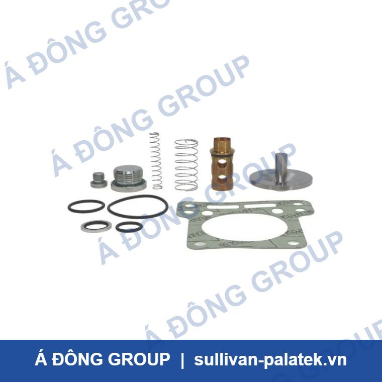 Atlas Copco 2901021704 Oil Stop/Check Valve Kit C111