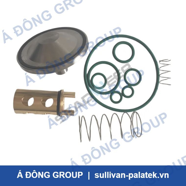 Atlas Copco 2901021200 Check Valve Kit for GA30-45