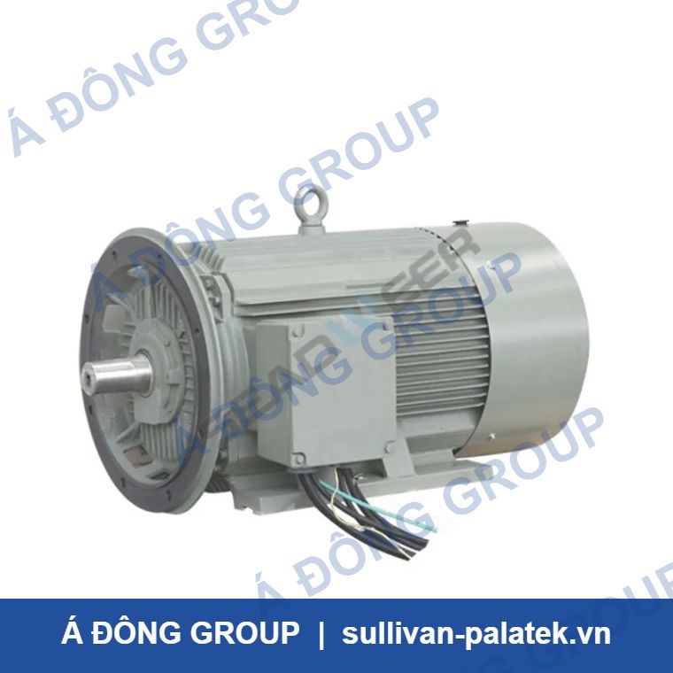 Atlas Copco Air Compressor 37KW 1080421404 Motor