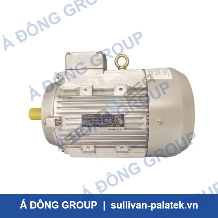 Atlas Copco Air Compressor 15kW 1091634104 Motor