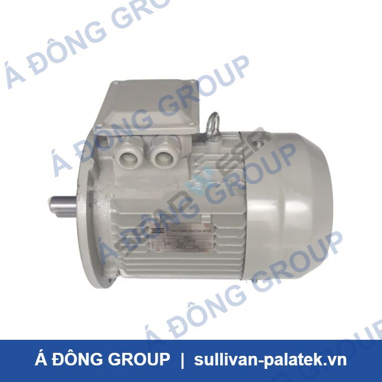 Atlas Copco Air Compressor 1080403412 Motor