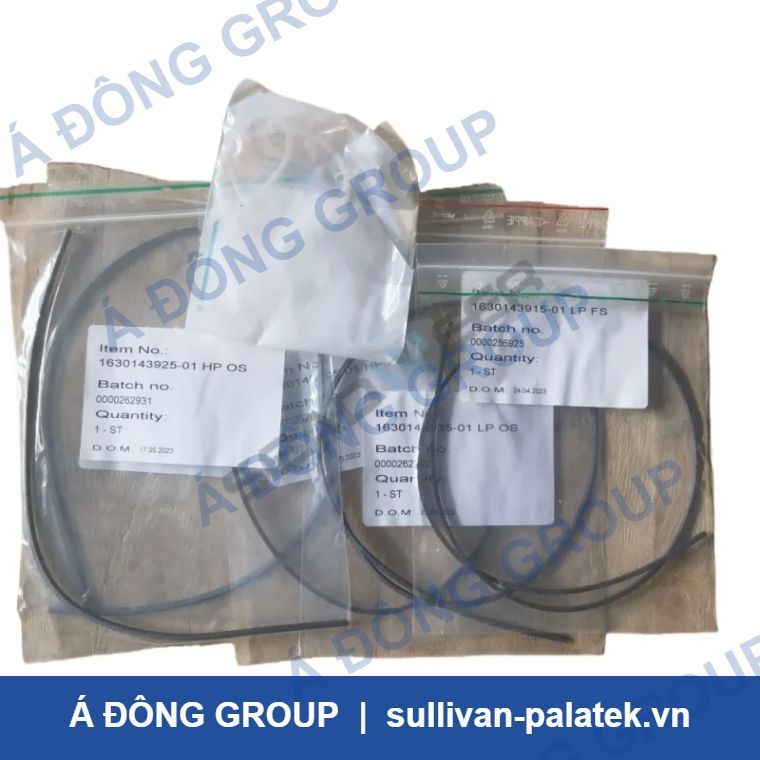 Atlas Copco 3001170210 Tip Seal Set for ATSL-165E