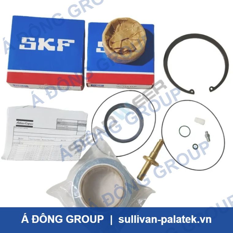 Atlas Copco 2901191021 Motor Overhaul Kit GA55+-90