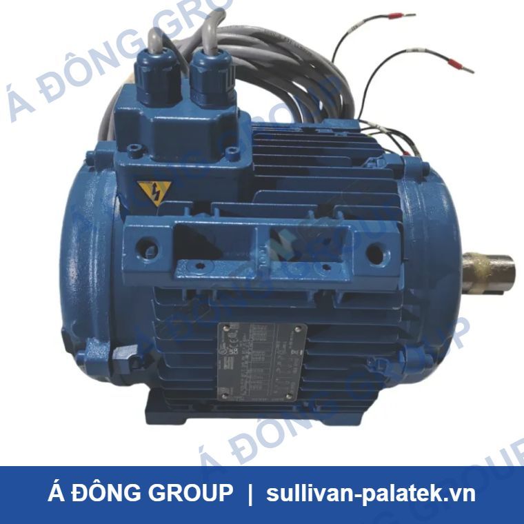 Atlas Copco 1635601801 Motor for GA Series Screw Air Compressors