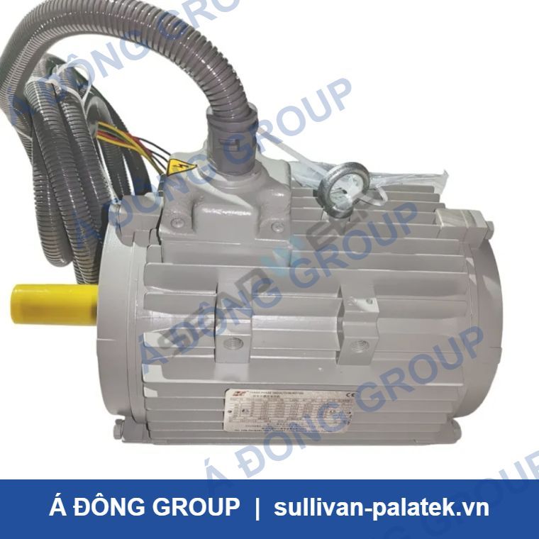 Atlas Copco 1094815401 Dual-Speed Fan Motor for Screw Compressors